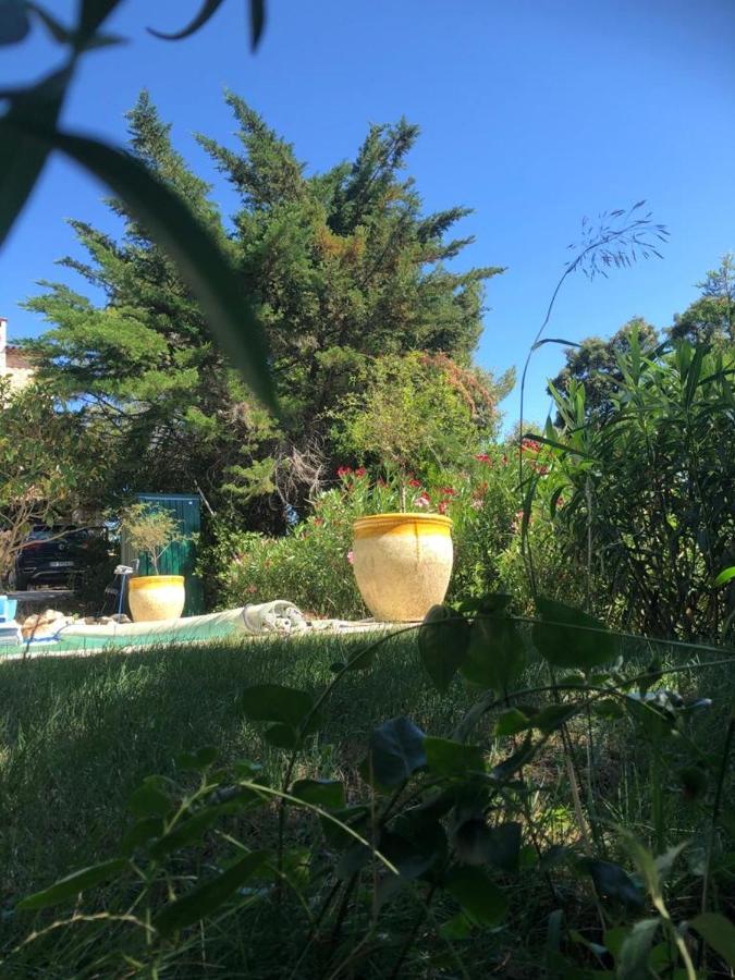 B&B Oasis Des Lavandes - Chambre Coqueliot Villeneuve-les-Avignon Luaran gambar