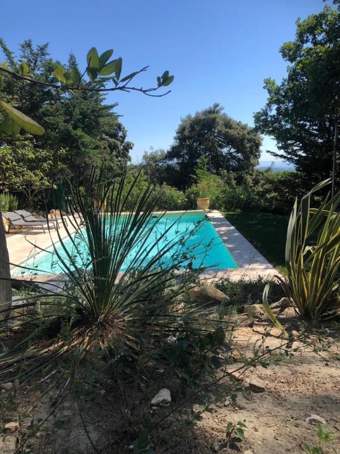 B&B Oasis Des Lavandes - Chambre Coqueliot Villeneuve-les-Avignon Luaran gambar
